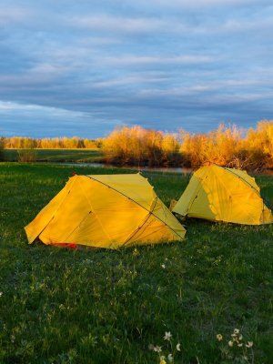 Луковый сплав