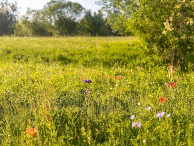 Отзывы туристов по водным походам выходного дня "По тукуланам реки Лена"