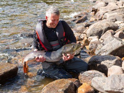Таймень. Все о самом крупном лососе нашей планеты.
