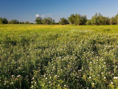 Отзывы туристов по водным походам выходного дня "По тукуланам реки Лена"