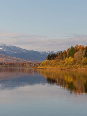 Рыбалка на трофейного тайменя на реке Гонам