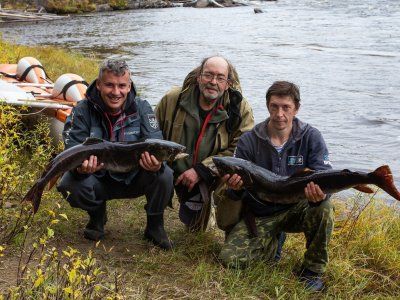 Таймень. Все о самом крупном лососе нашей планеты.