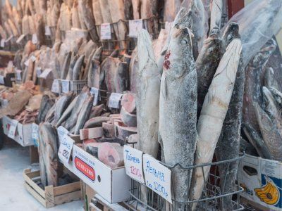 О строганине