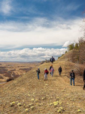 Весеннее пробуждение. Пешая экскурсия по Табагинскому Мысу