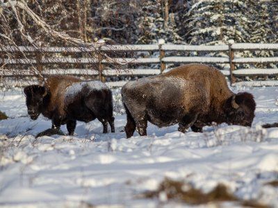 Путешествия по Якутии