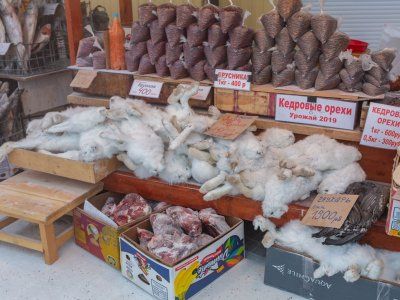 О строганине