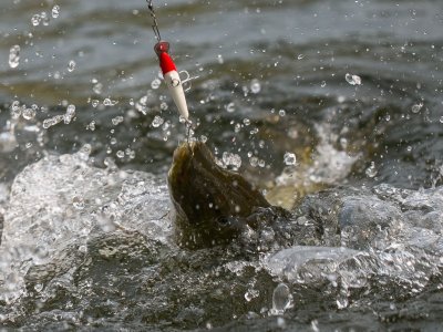 Советы по рыбалке со своего опыта