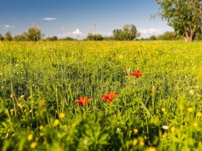 Отзывы туристов по водным походам выходного дня "По тукуланам реки Лена"