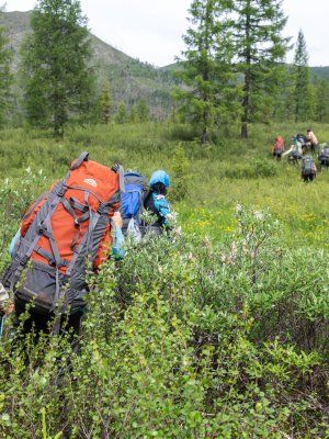 «В горах Семи Хребтов. Водопады хребта Сэттэ Дабан»