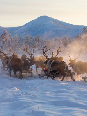 Арктическая автоэкспедиция "Индигирка". Якутск – Оймякон – Чокурдах – Русское Устье