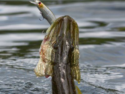 Советы по рыбалке со своего опыта