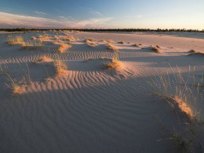 Тукуланы Вилюя