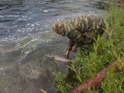 Советы по рыбалке со своего опыта