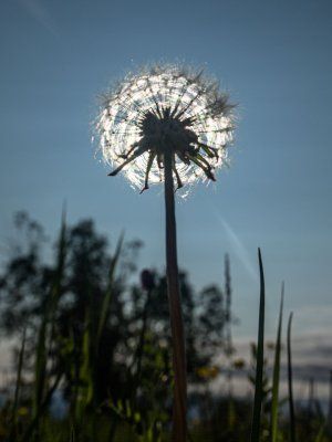 Сплав по реке Лена с посещением Ленских Столбов, тукуланов-песков Самыс Кумага и Кысыл Элэсин