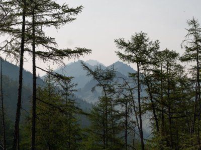 Гора Афродита