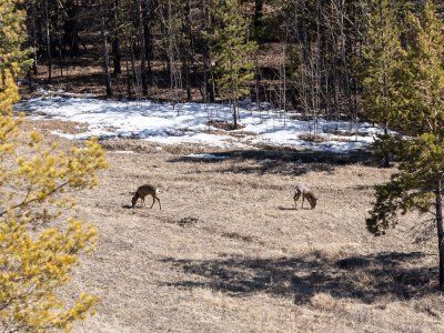 К Древним вулканам долины Туймаада